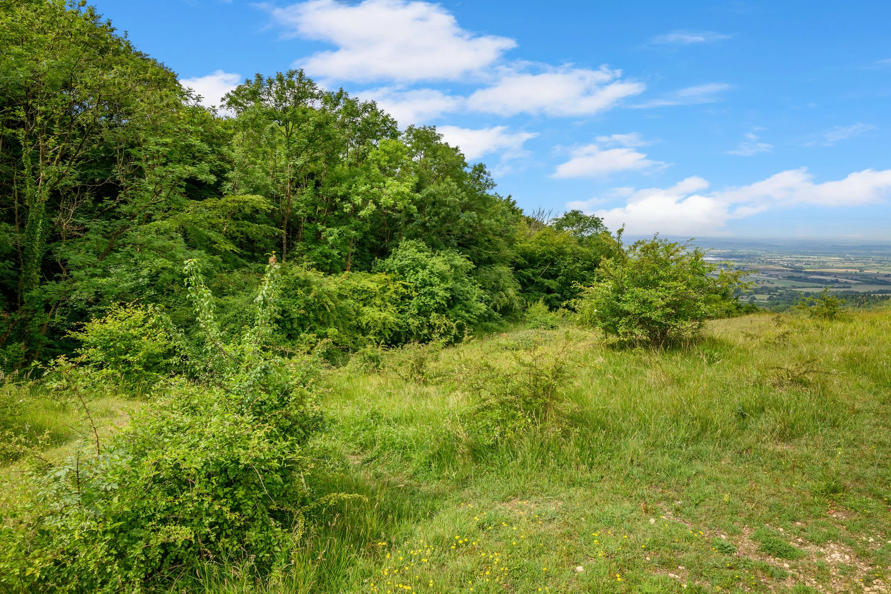 Land at Cleeve Hill, Cheltenham, GL54 4EU