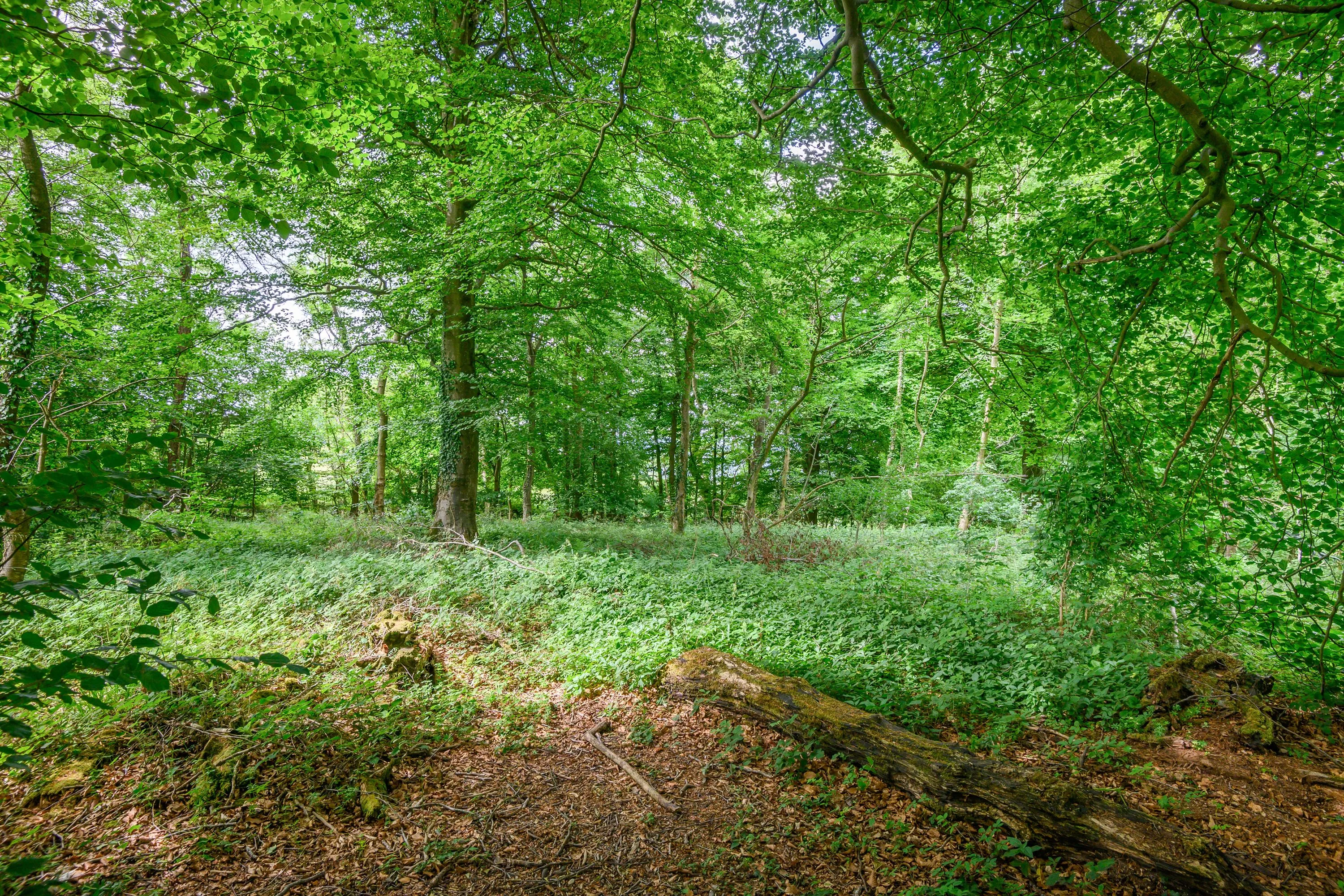 Land at Cleeve Hill, Cheltenham, GL54 4EU