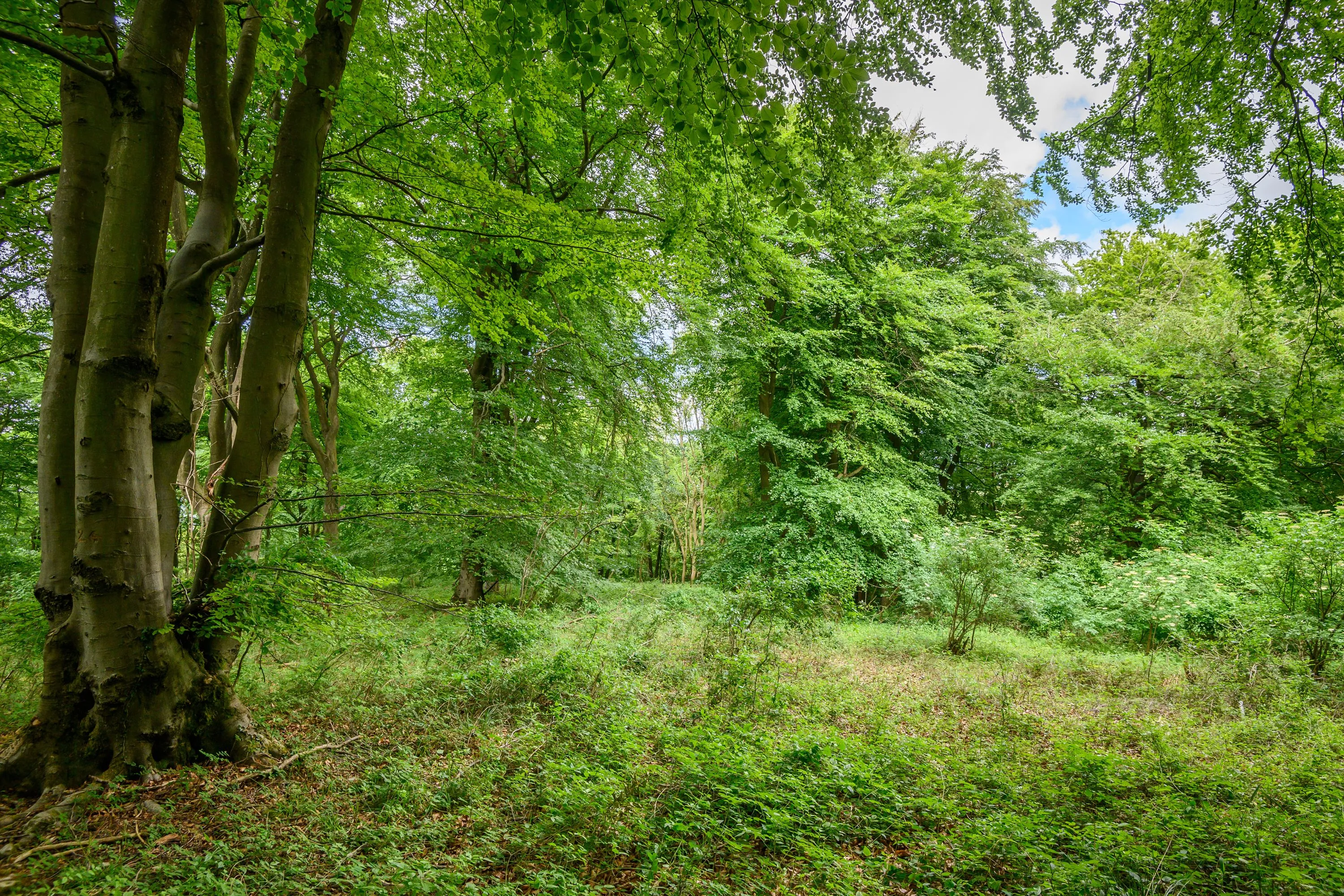 Land at Cleeve Hill, Cheltenham, GL54 4EU