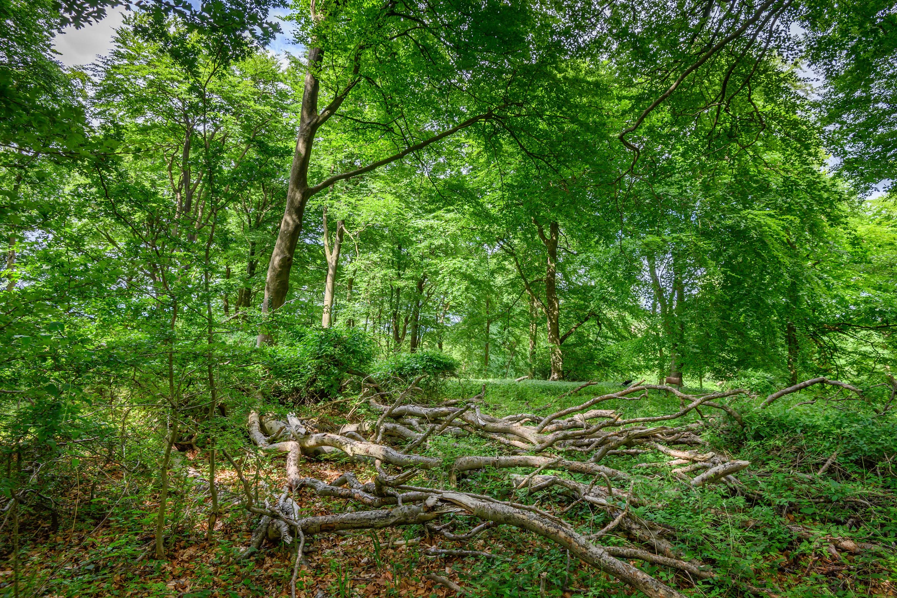 Land at Cleeve Hill, Cheltenham, GL54 4EU