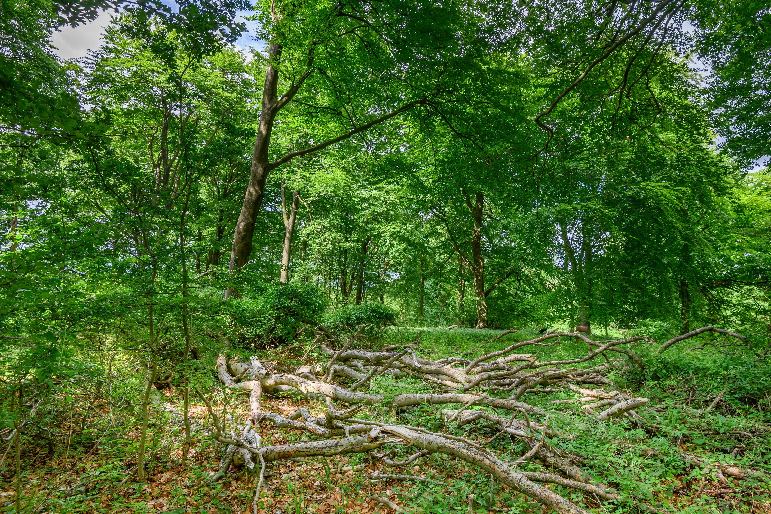 Land at Cleeve Hill, Cheltenham, GL54 4EU