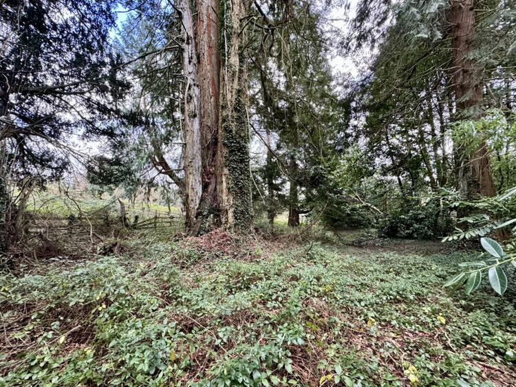 Castle, Milltown, Lostwithiel, Cornwall PL22 0JN