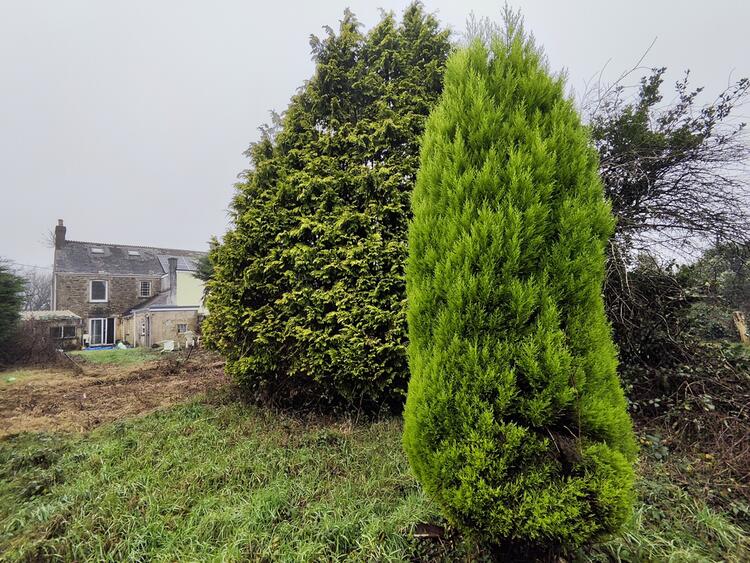 53 Trezaise Road, Roche, St. Austell PL26 8HD