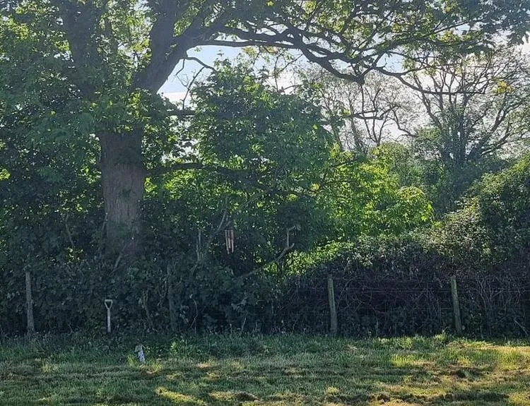 Land on the east side of Wicken Road, Leckhampstead, Buckinghamshire MK18 5NZ