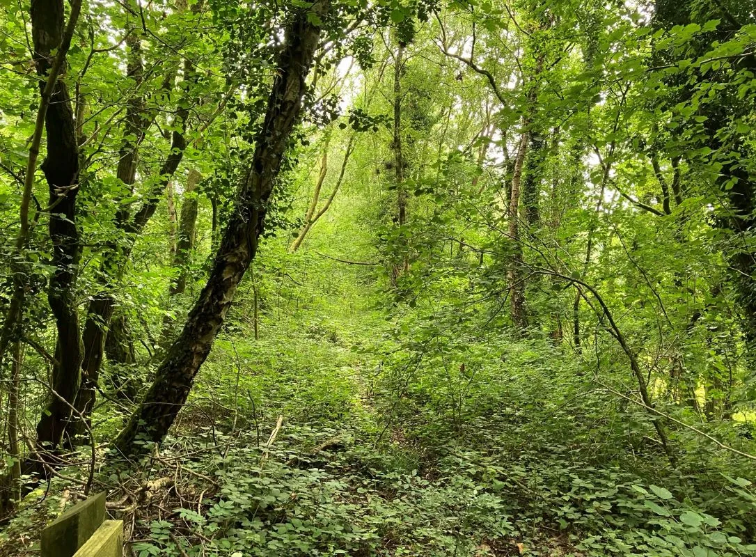 Approx. 11 acres of former dismantled railway land available at Caradog Falls in Llanafan. Roughly 8miles to the south east of Aberystwyth.