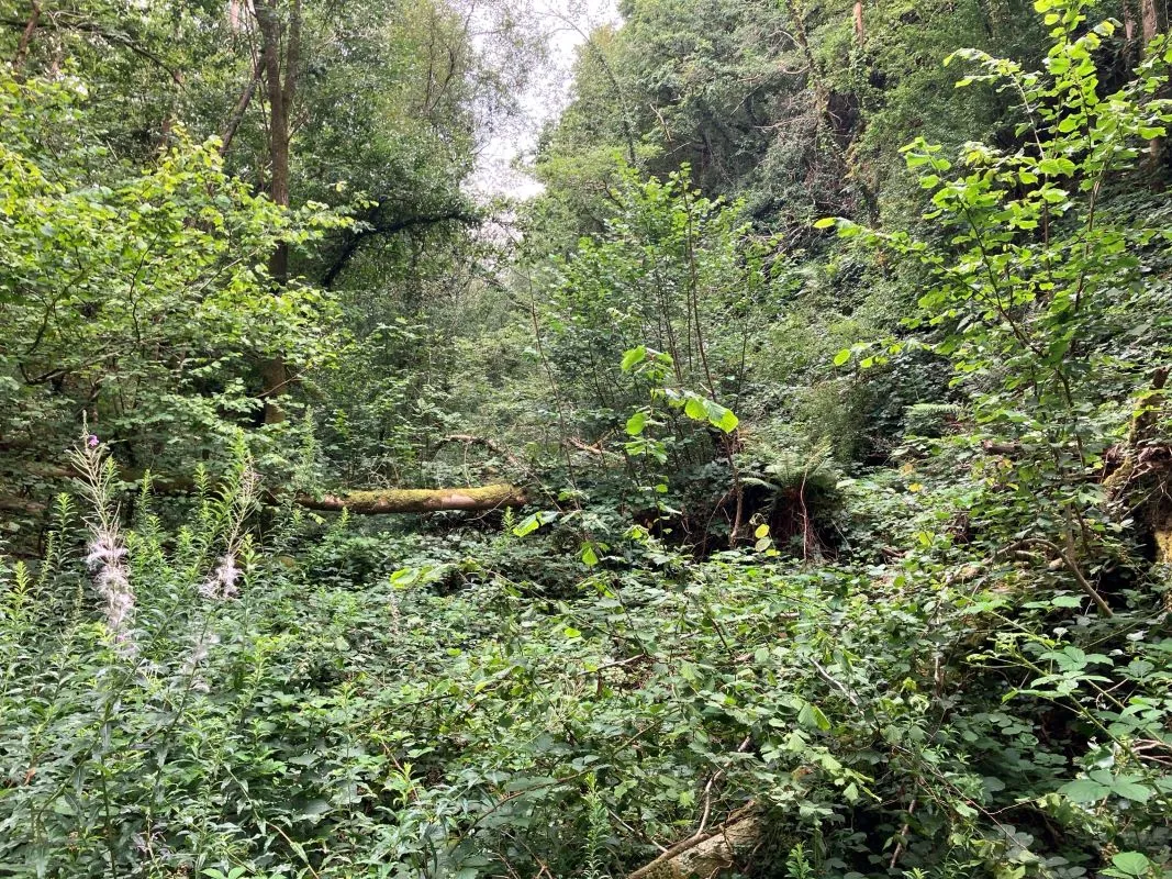 Approx. 11 acres of former dismantled railway land available at Caradog Falls in Llanafan. Roughly 8miles to the south east of Aberystwyth.