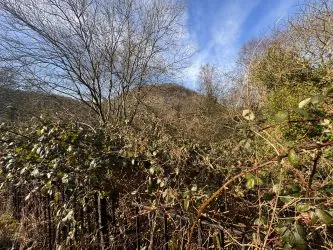 Approx. 2 acres of former dismantled railway land available to the west of Coedpenmaen Road in Pontypridd.