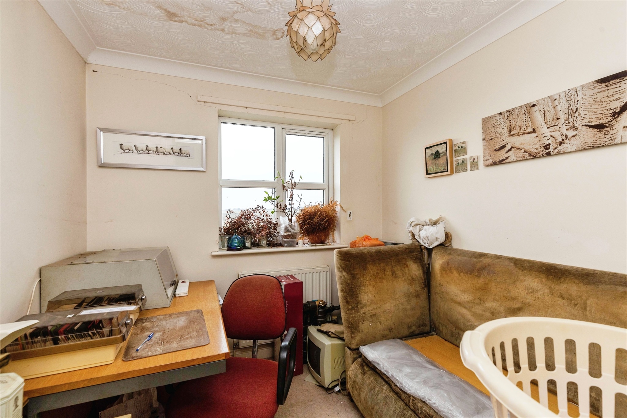 3 bed Semi-Detached