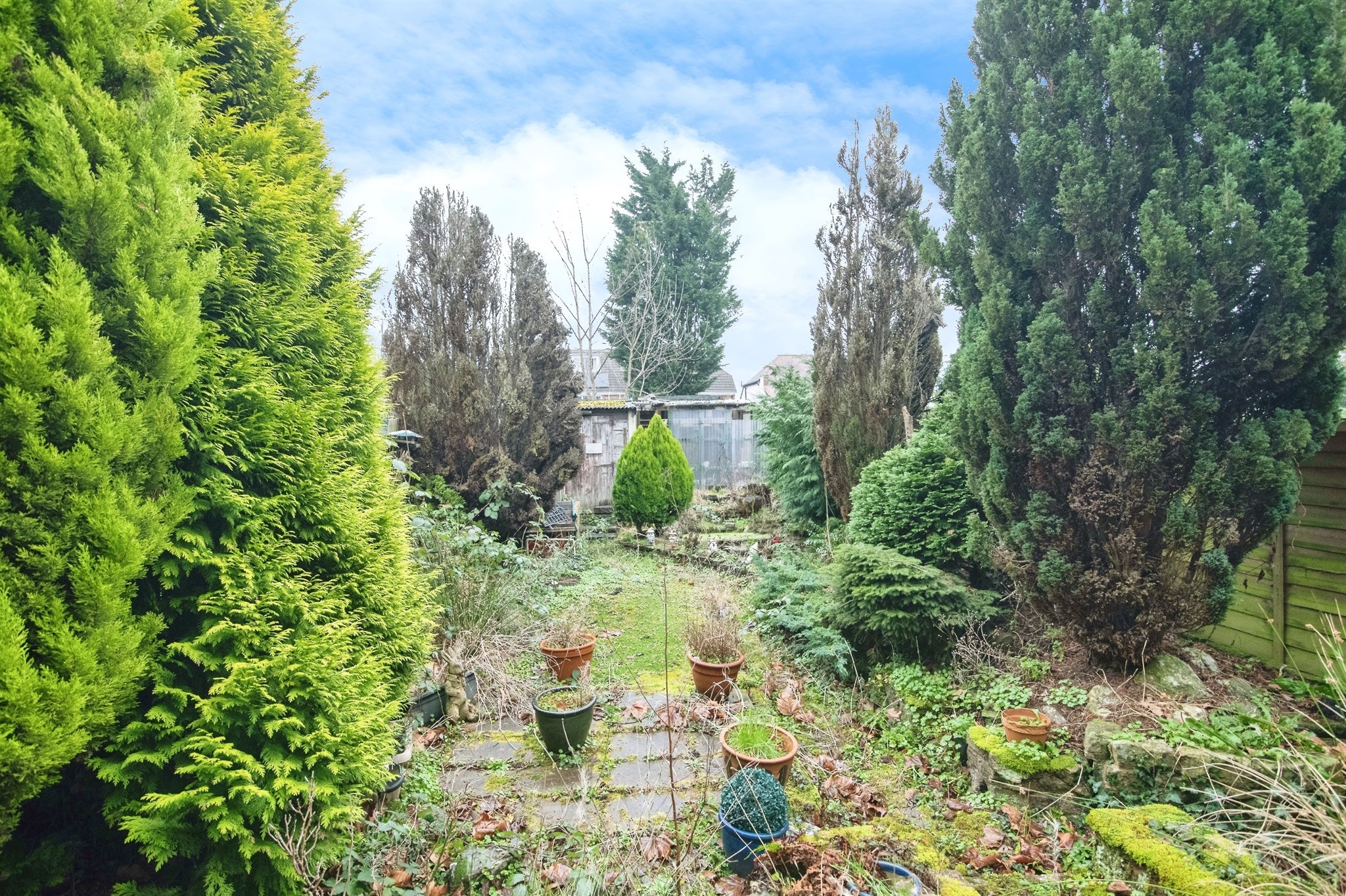3 bed Semi-Detached