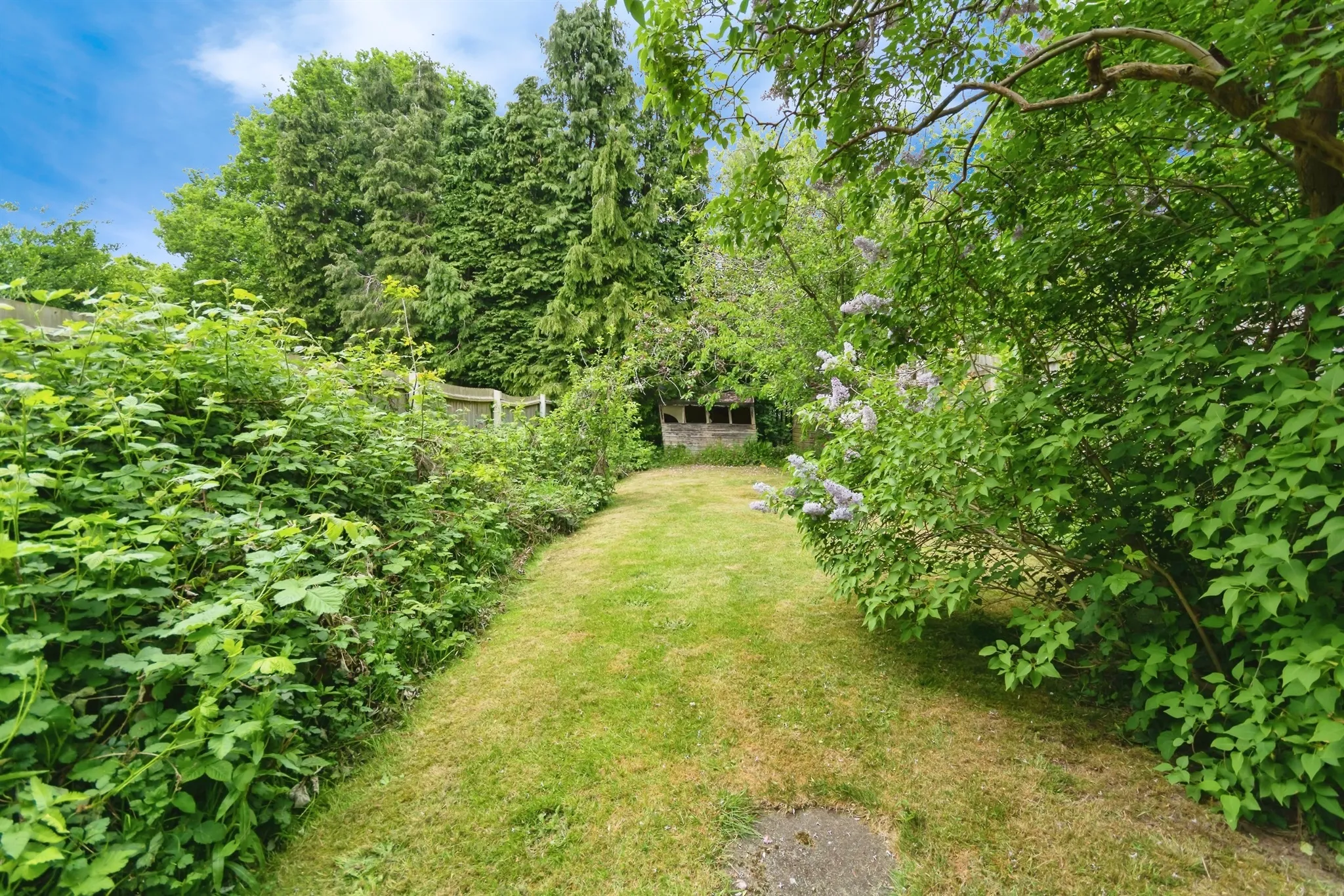 3 bed Terraced