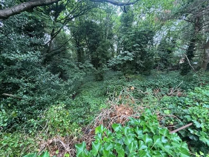 Land At Vyner Road South, Wirral