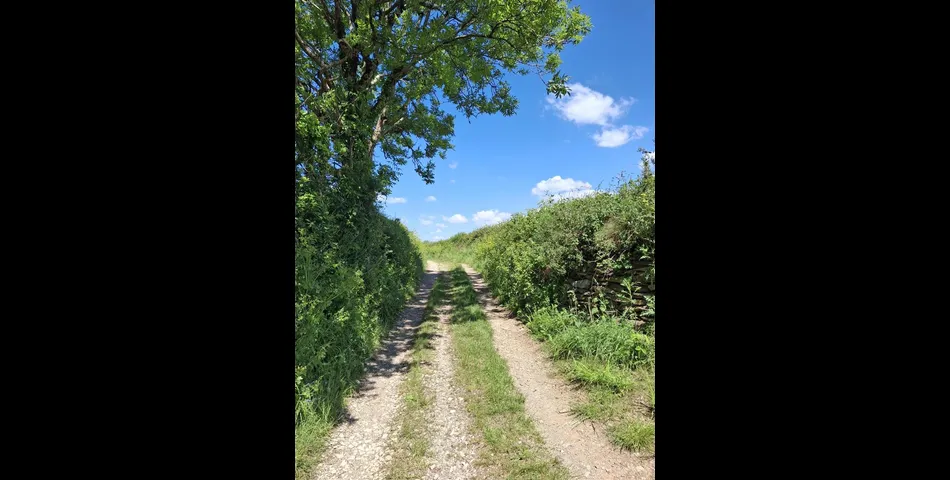 Land to the Northwest of Clamoak - Bere Ferrers