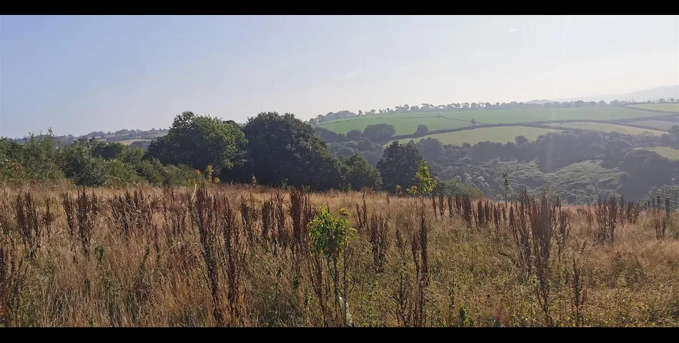 Land to the Northwest of Clamoak - Bere Ferrers