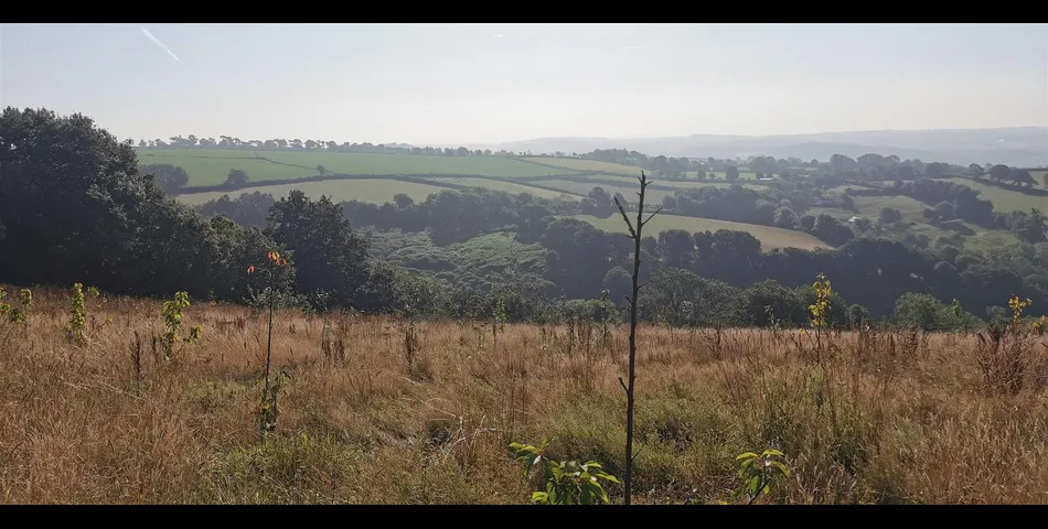 Land to the Northwest of Clamoak - Bere Ferrers