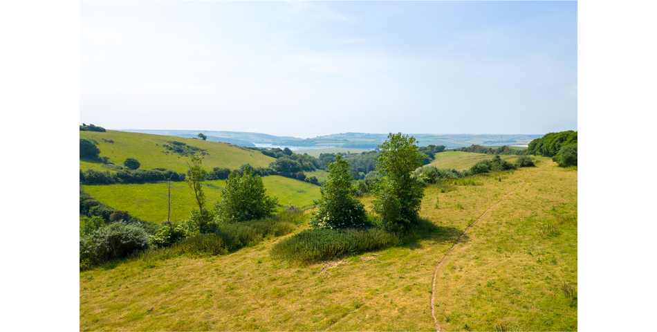 Duncombe Court Farm, Kingsbridge - Lot 1