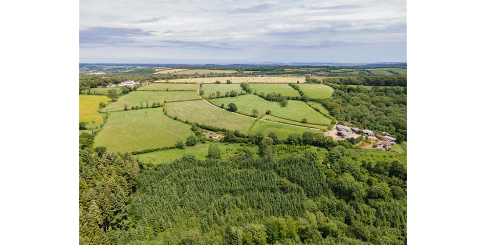 Wolversleigh Farm 