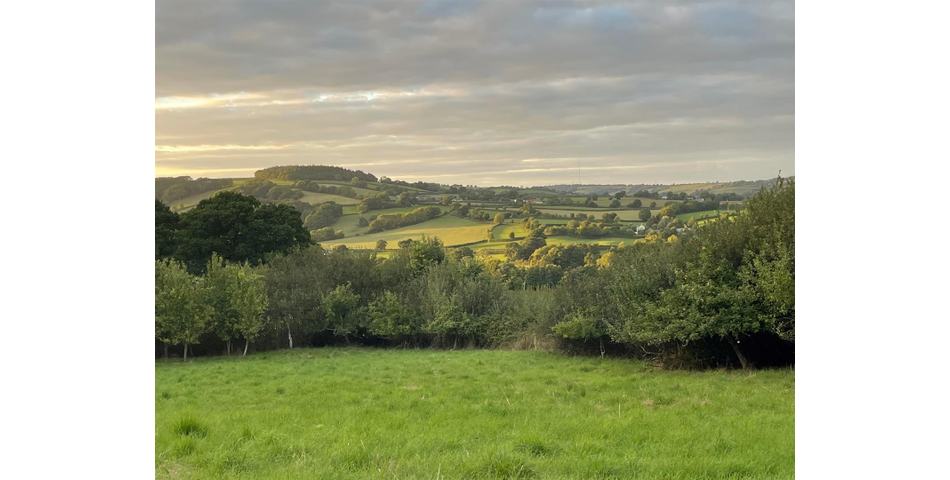 Little Acre, West of Guernsey Corner - Colyton