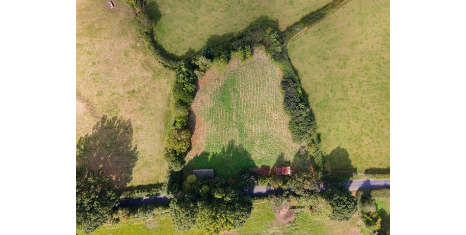 Little Acre, West of Guernsey Corner - Colyton