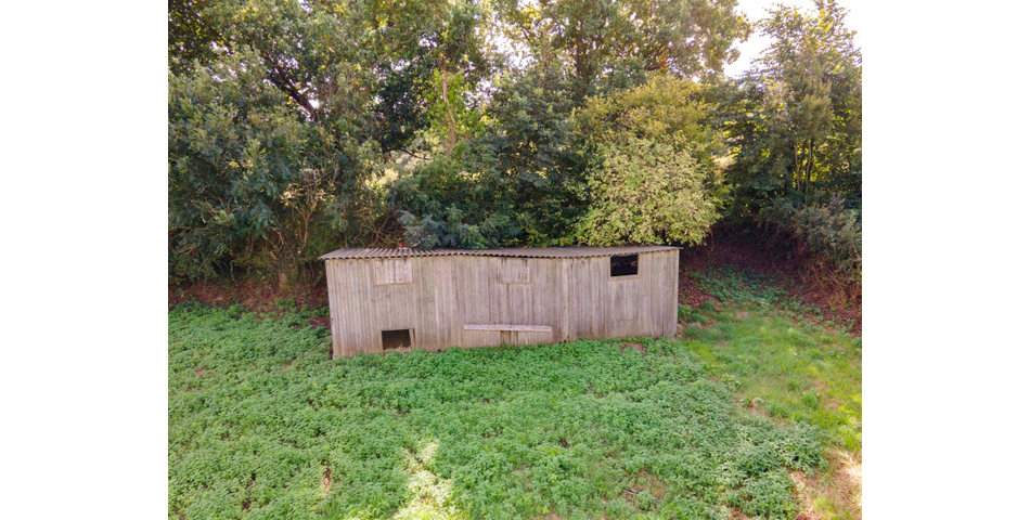 Little Acre, West of Guernsey Corner - Colyton