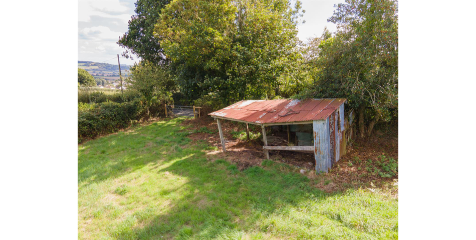 Little Acre, West of Guernsey Corner - Colyton