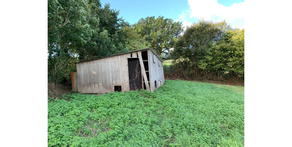 Little Acre, West of Guernsey Corner - Colyton