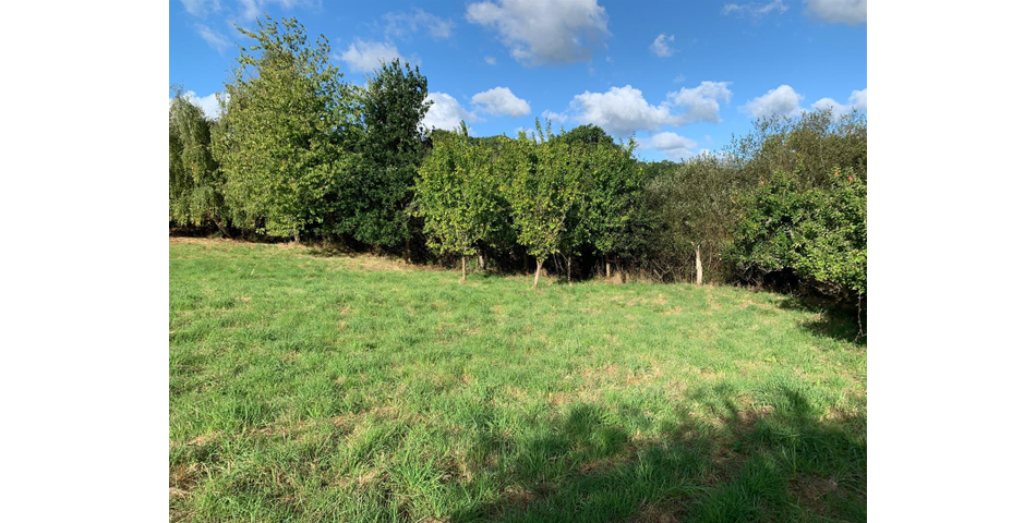 Little Acre, West of Guernsey Corner - Colyton