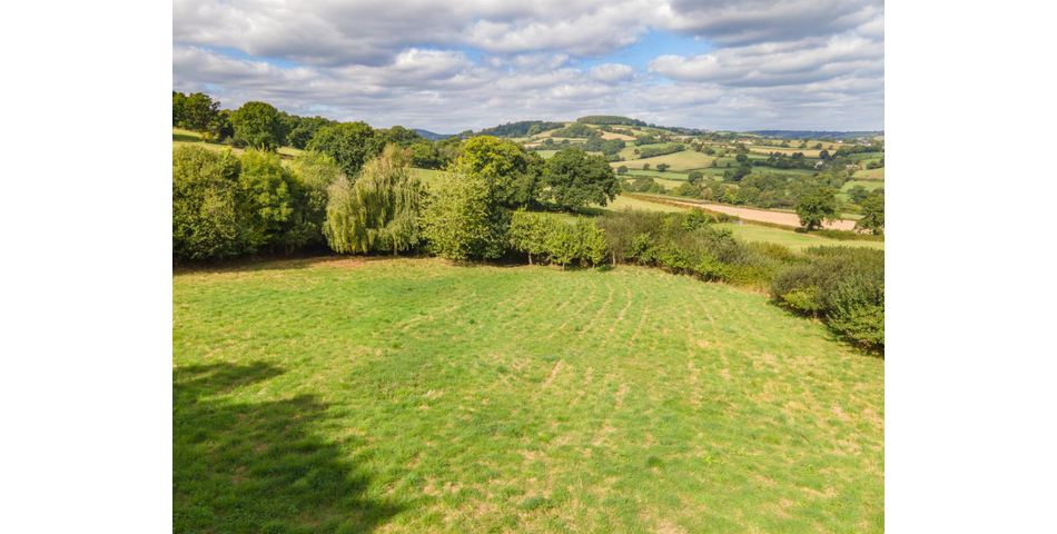 Little Acre, West of Guernsey Corner - Colyton