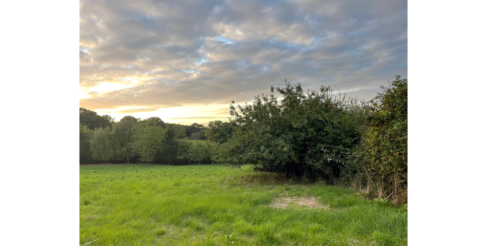 Little Acre, West of Guernsey Corner - Colyton