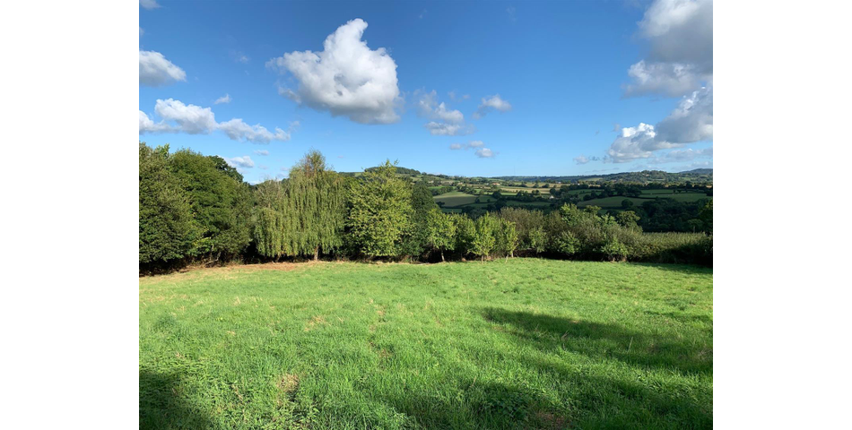 Little Acre, West of Guernsey Corner - Colyton