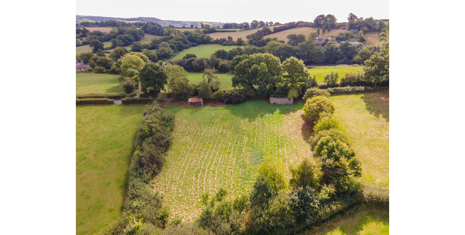 Little Acre, West of Guernsey Corner - Colyton