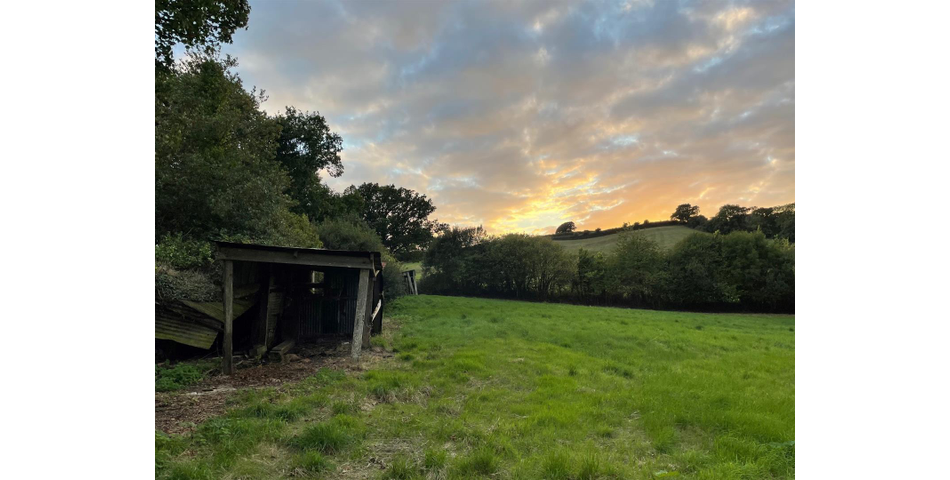 Little Acre, West of Guernsey Corner - Colyton