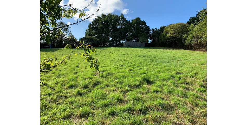 Little Acre, West of Guernsey Corner - Colyton
