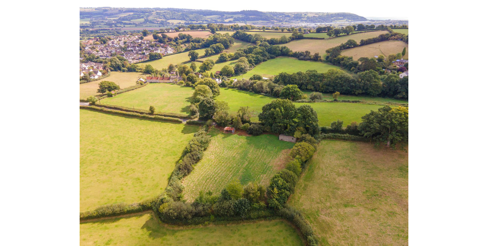 Little Acre, West of Guernsey Corner - Colyton