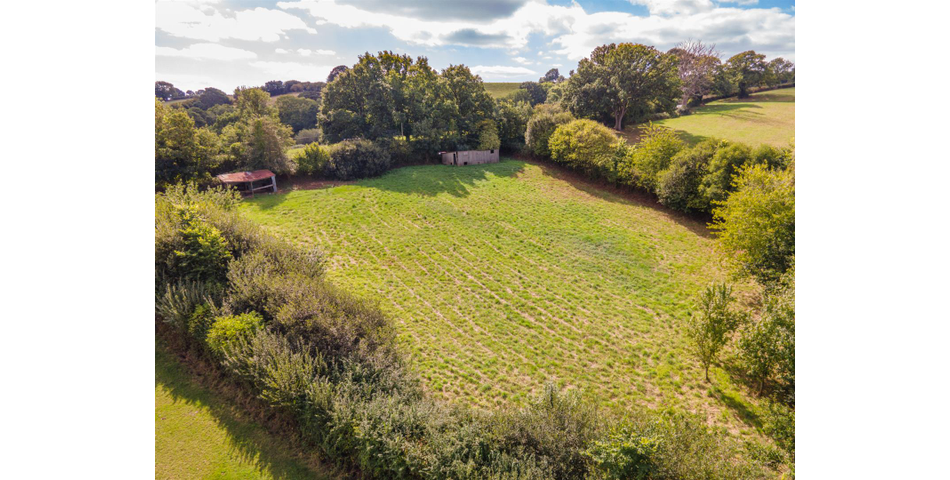 Little Acre, West of Guernsey Corner - Colyton