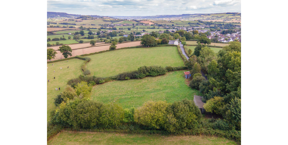 Little Acre, West of Guernsey Corner - Colyton