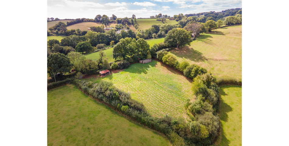 Little Acre, West of Guernsey Corner - Colyton