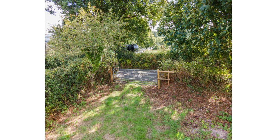 Little Acre, West of Guernsey Corner - Colyton