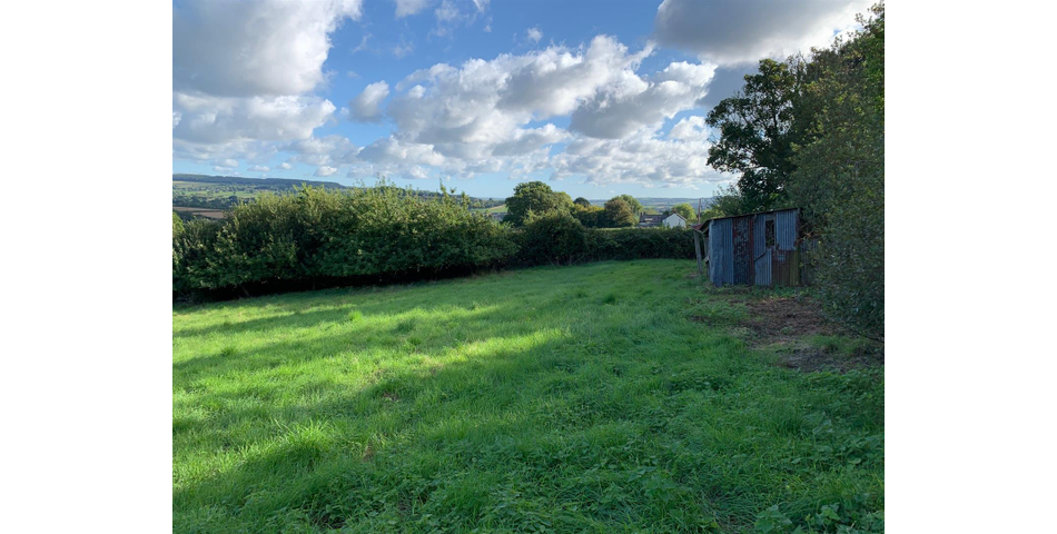 Little Acre, West of Guernsey Corner - Colyton