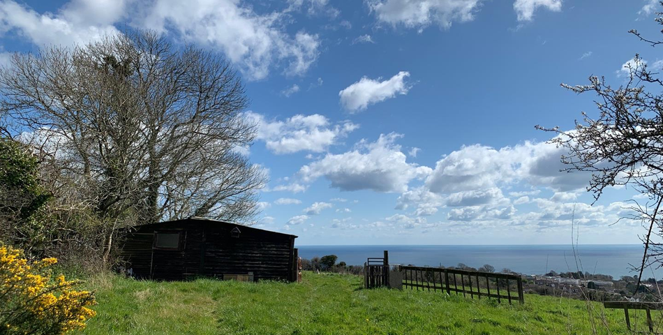 Land at Higher Woodway Road - Teignmouth