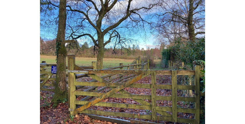 Land on Dartmoor Lot 2