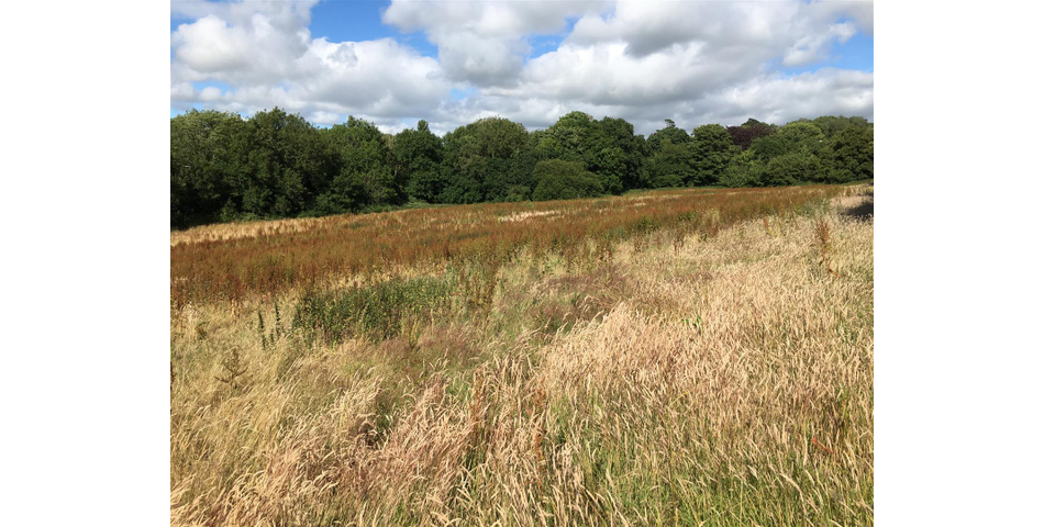 Land at Bishops Tawton Roundabout - Bishops Tawton
