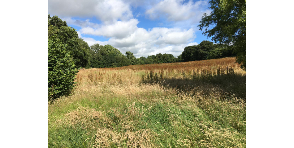 Land at Bishops Tawton Roundabout - Bishops Tawton