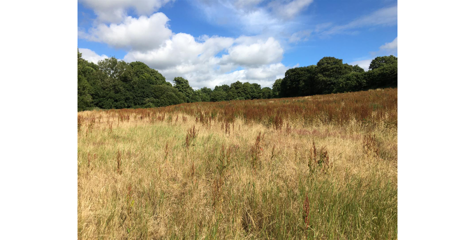 Land at Bishops Tawton Roundabout - Bishops Tawton