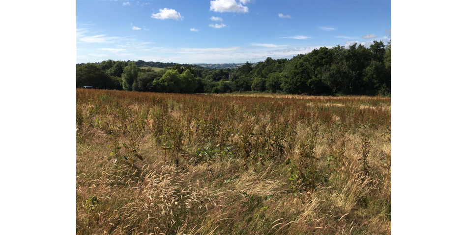 Land at Bishops Tawton Roundabout - Bishops Tawton