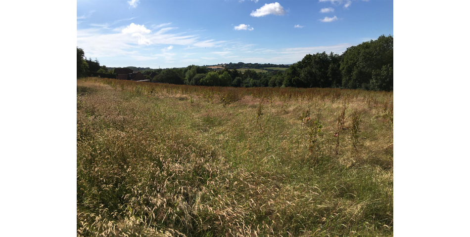 Land at Bishops Tawton Roundabout - Bishops Tawton
