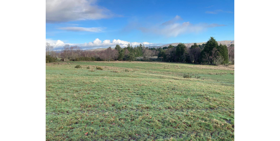 Land on Dartmoor Lot 4
