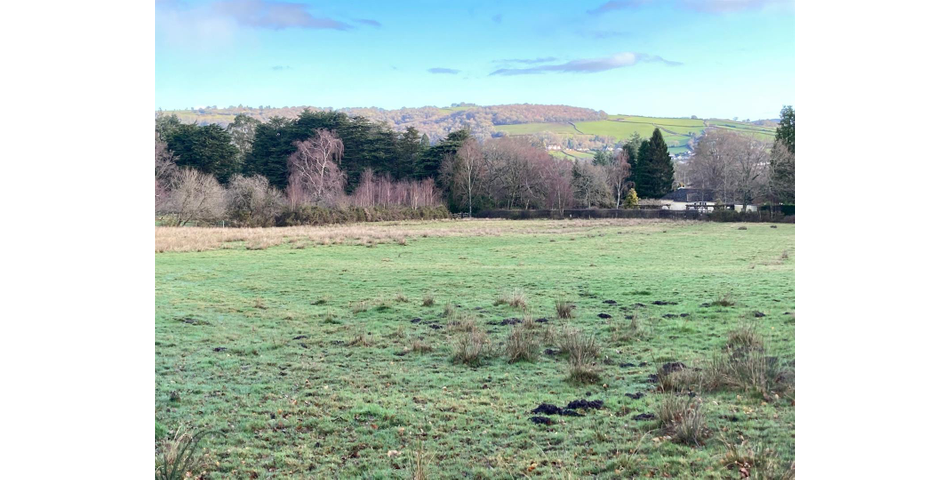 Land on Dartmoor Lot 4