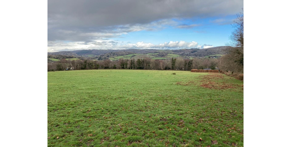 Land on Dartmoor Lot 4