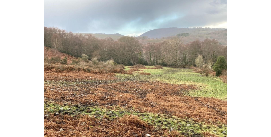 Land on Dartmoor Lot 4