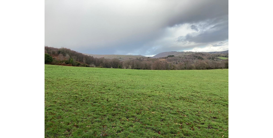 Land on Dartmoor Lot 4